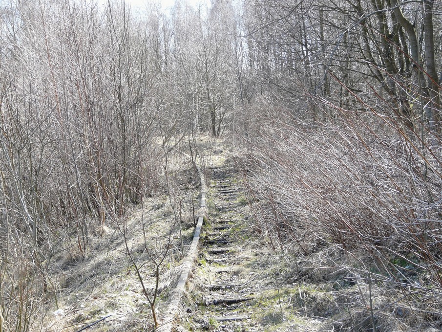 Trať 144_0153