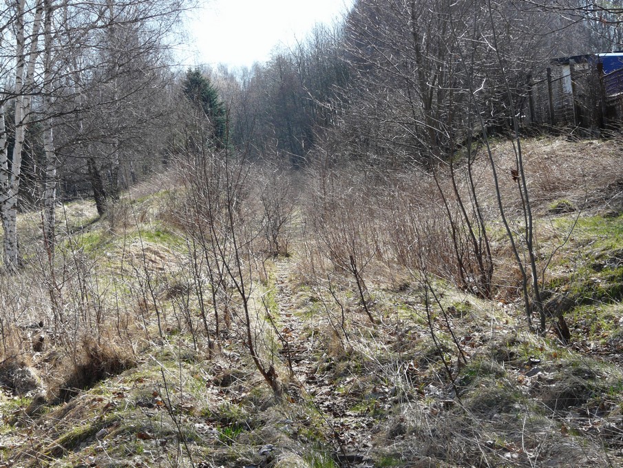 Trať 144_0159