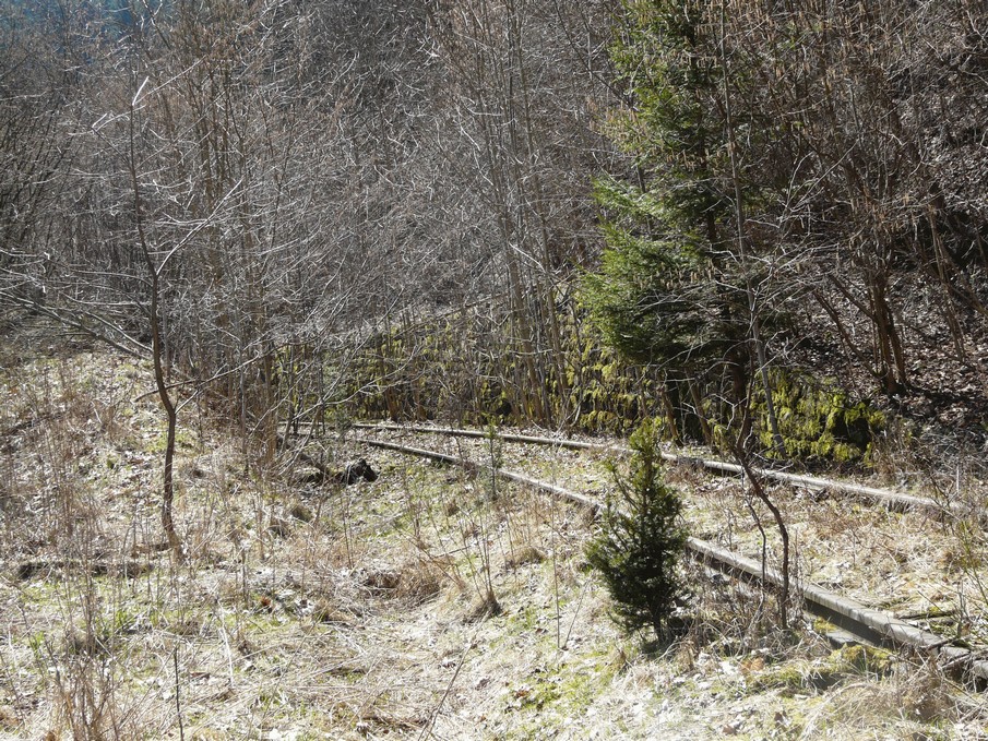 Trať 144_0021