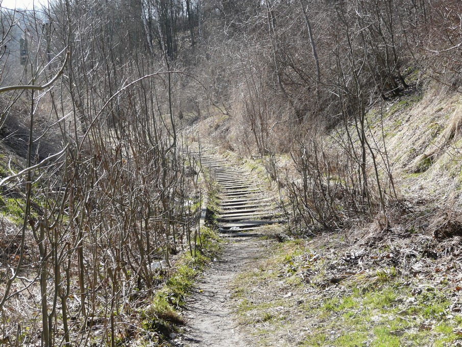 Trať 144_0219