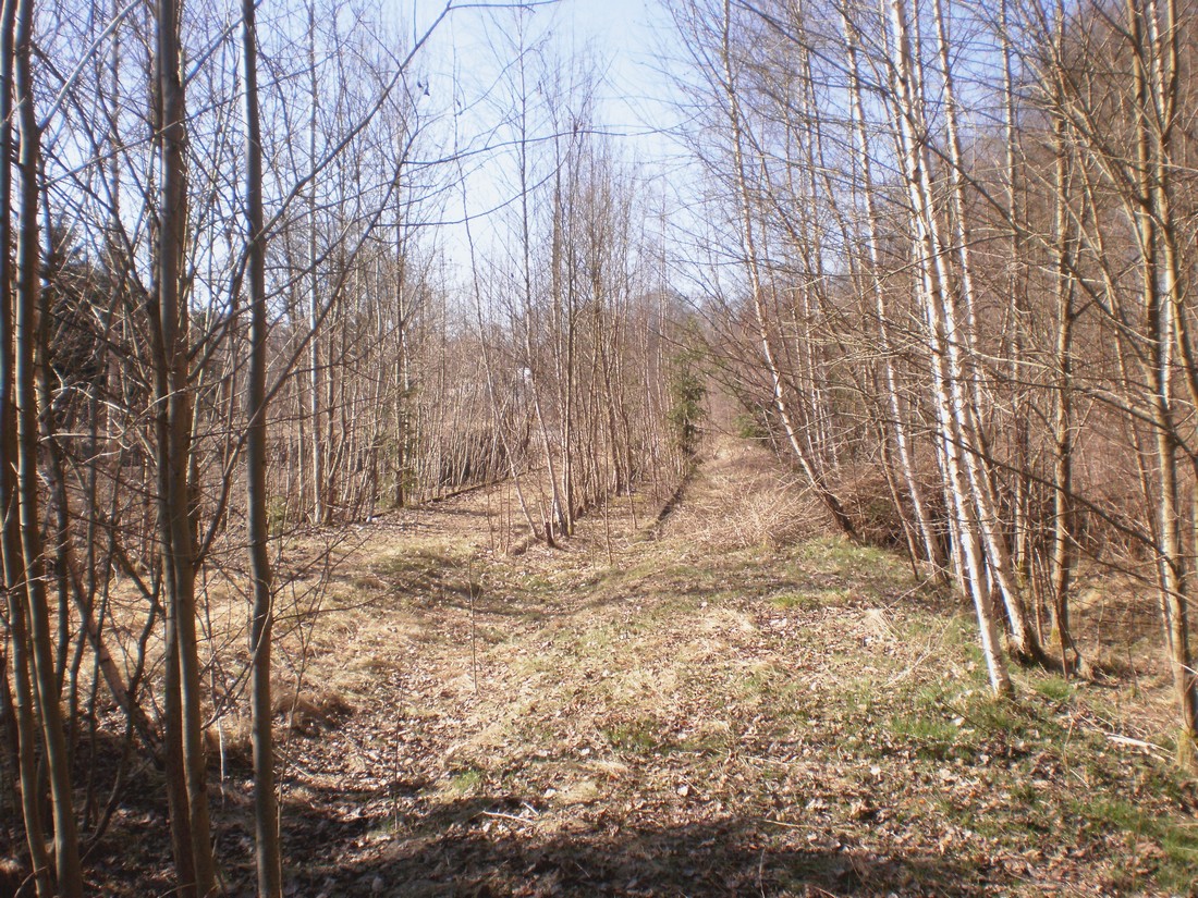 Trať 144_0240
