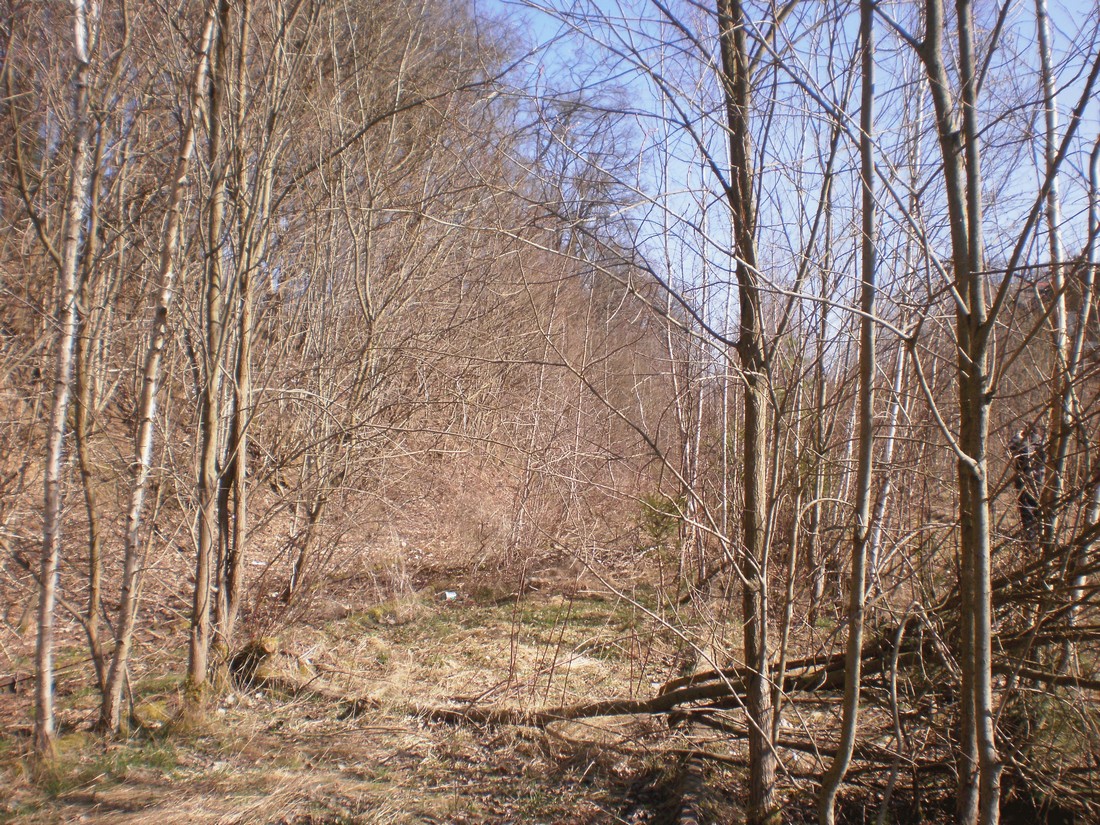 Trať 144_0246