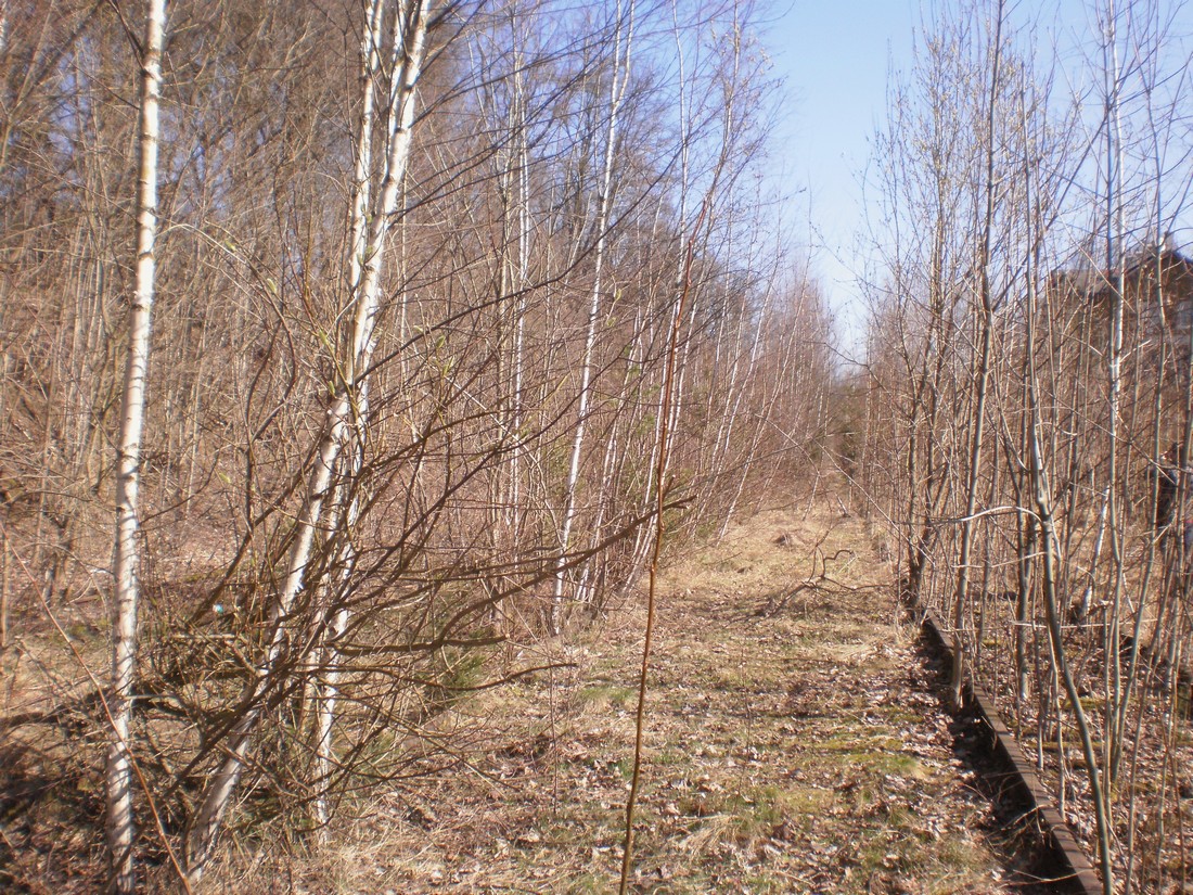 Trať 144_0247