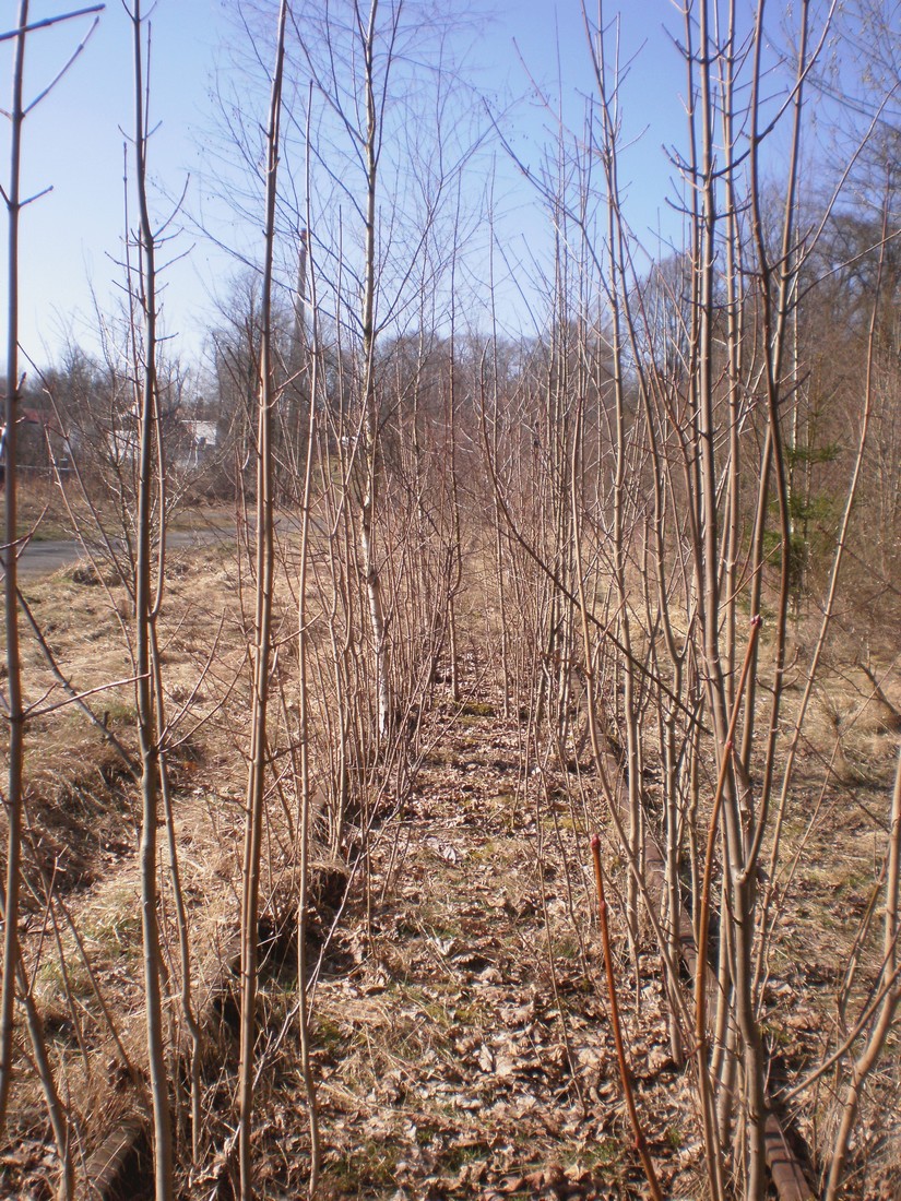 Trať 144_0250