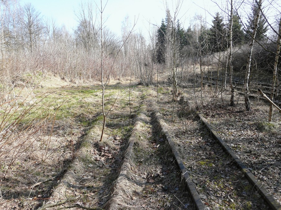Trať 144_0257