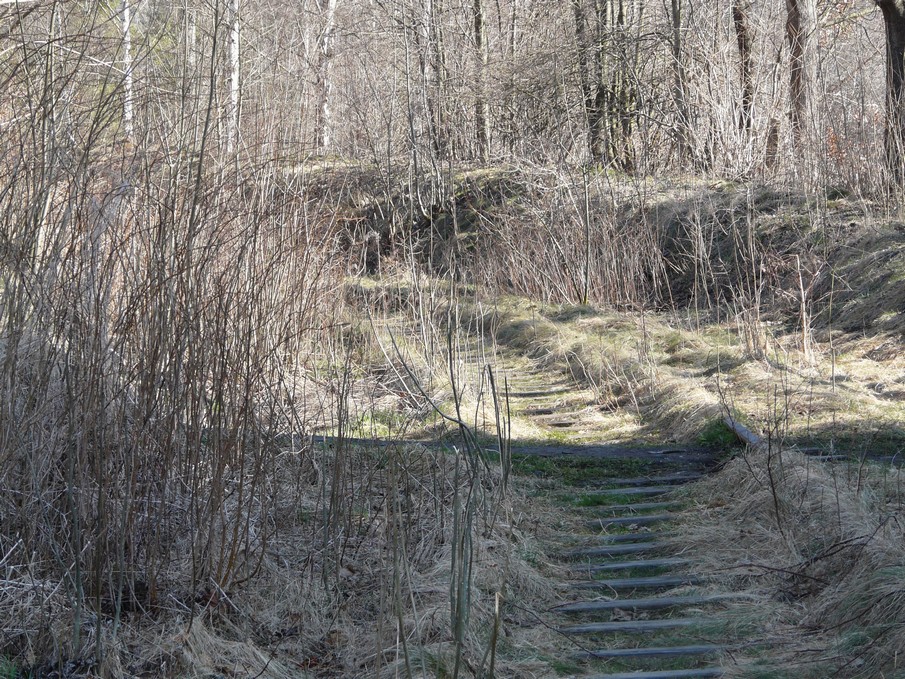 Trať 144_0262