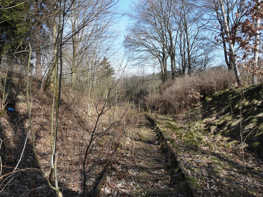 Trať 144_0265