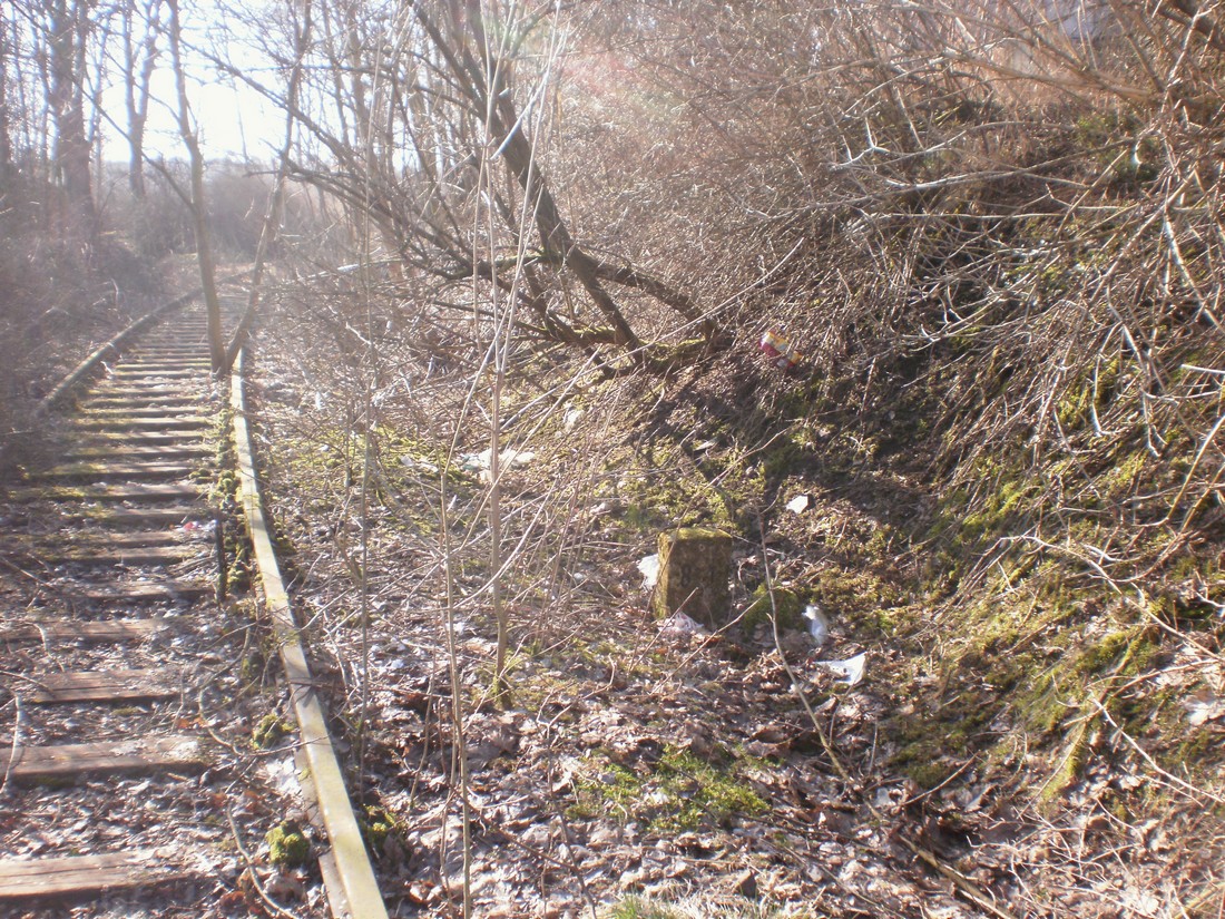 Trať 144_0268