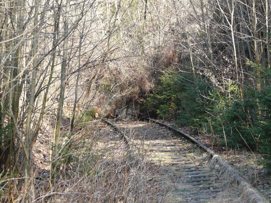 Trať 144_0300