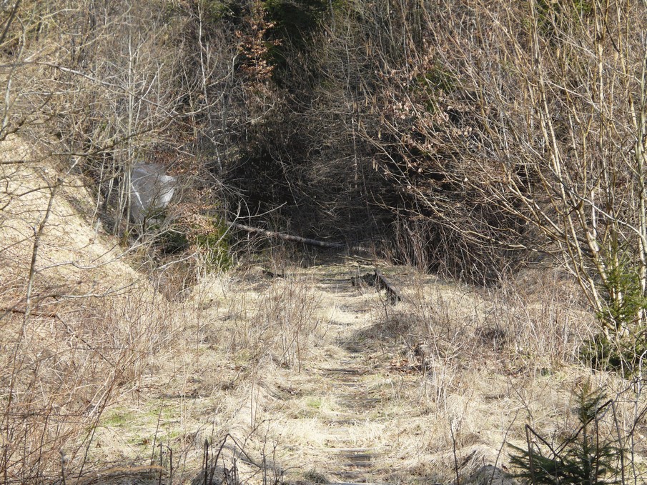 Trať 144_0313
