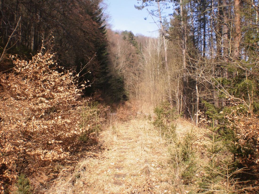 Trať 144_0324