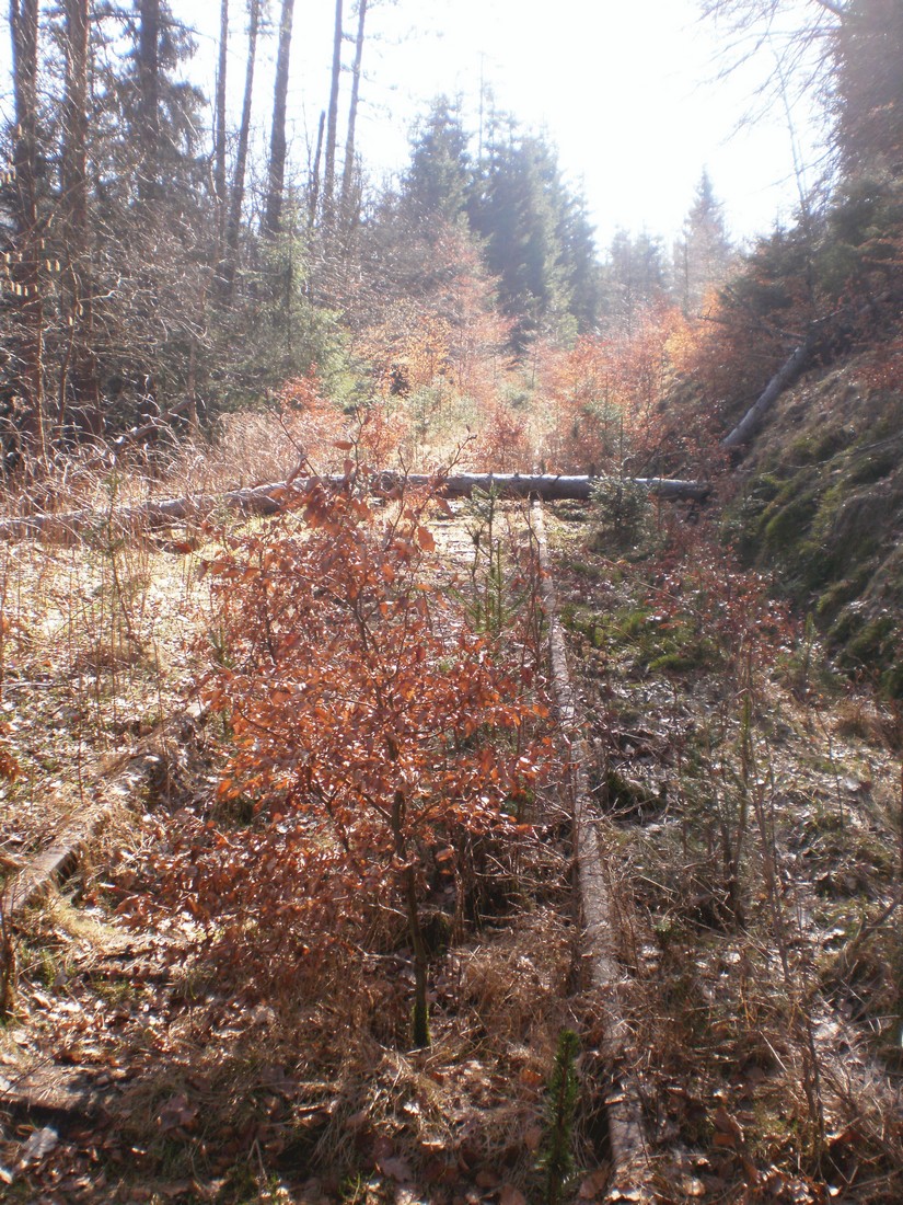Trať 144_0326