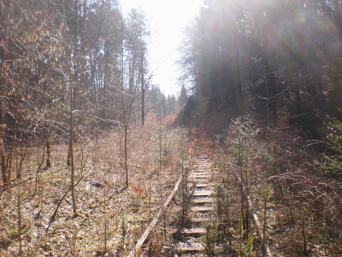 Trať 144_0329