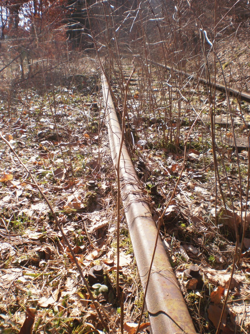 Trať 144_0338