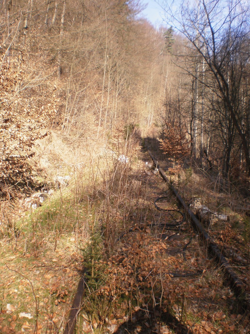 Trať 144_0341