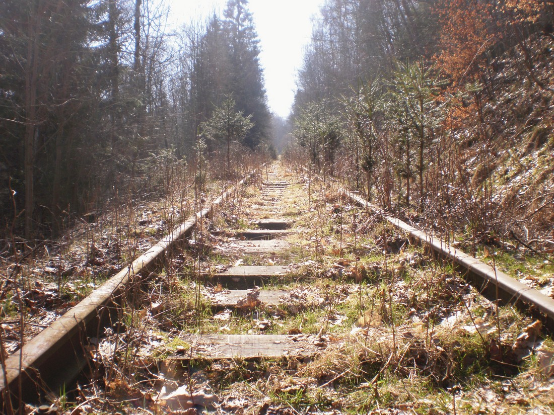 Trať 144_0356