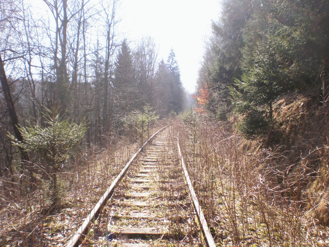Trať 144_0359