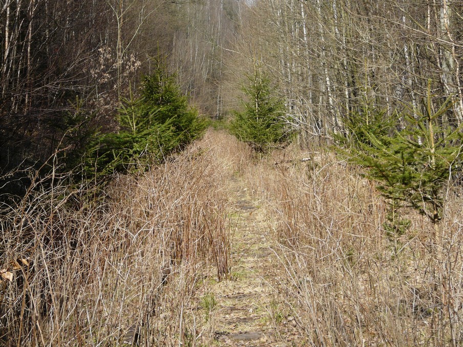 Trať 144_0369