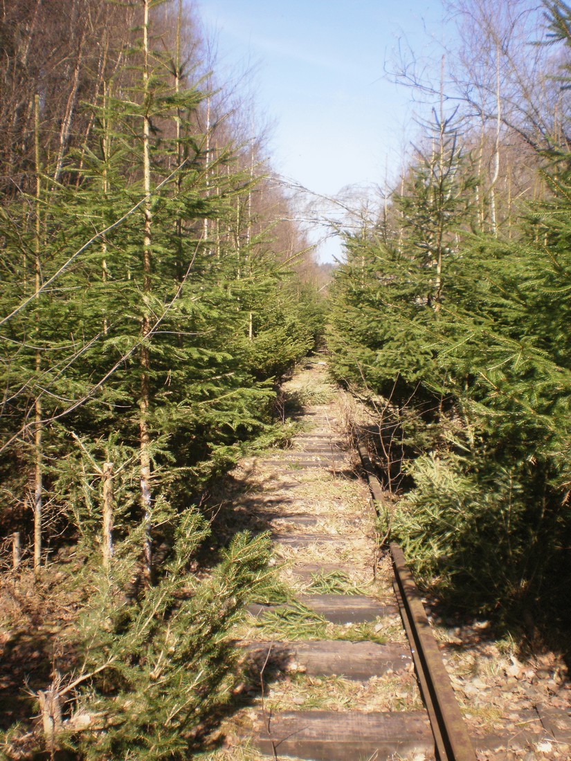 Trať 144_0376