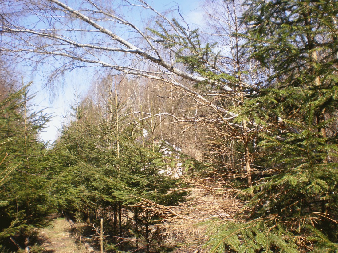 Trať 144_0377