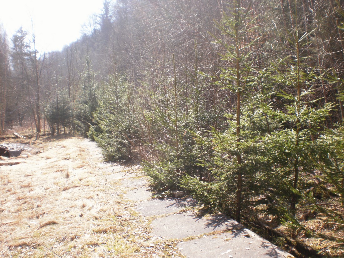 Trať 144_0387