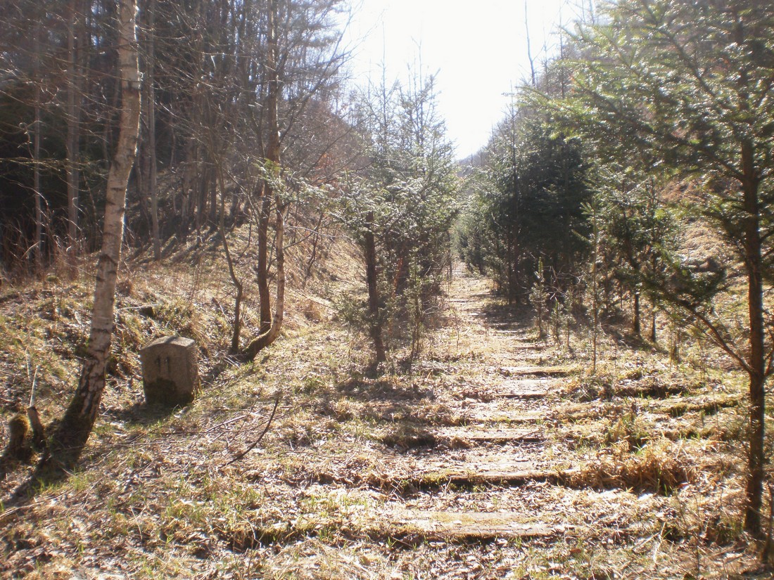 Trať 144_0395