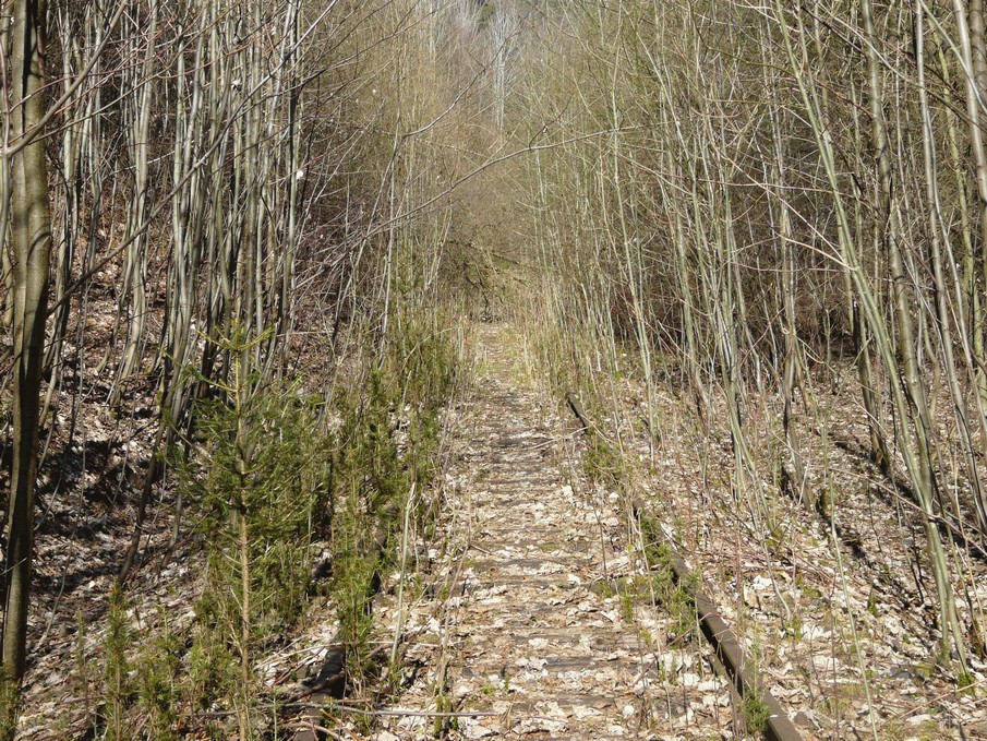 Trať 144_0407