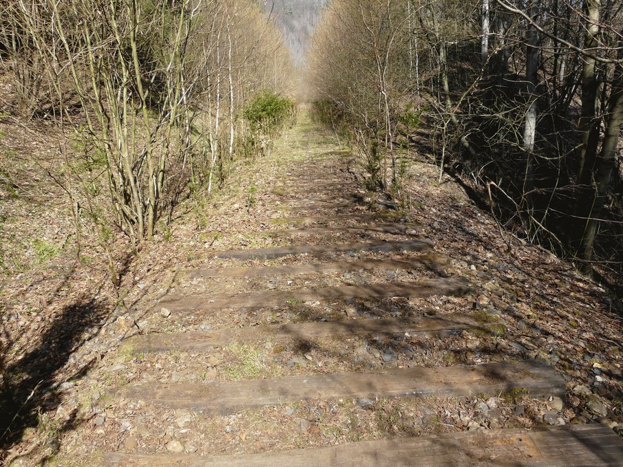 Trať 144_0415