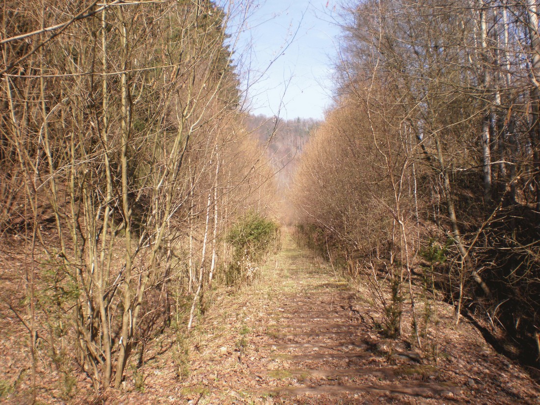 Trať 144_0417