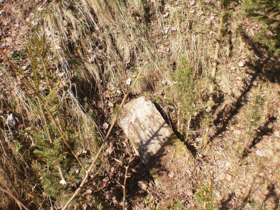 Trať 144_0428