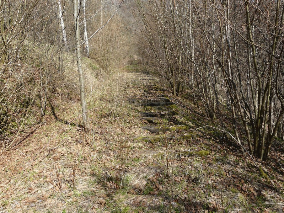 Trať 144_0433