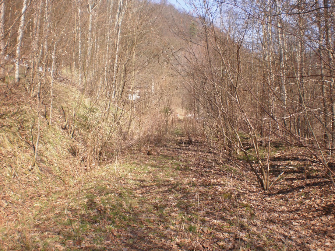 Trať 144_0434