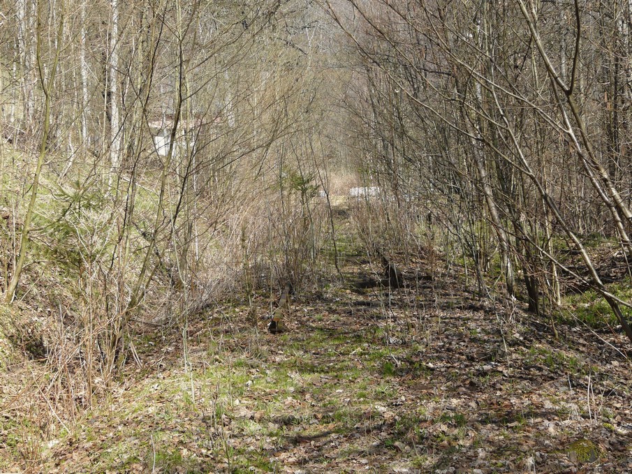 Trať 144_0435