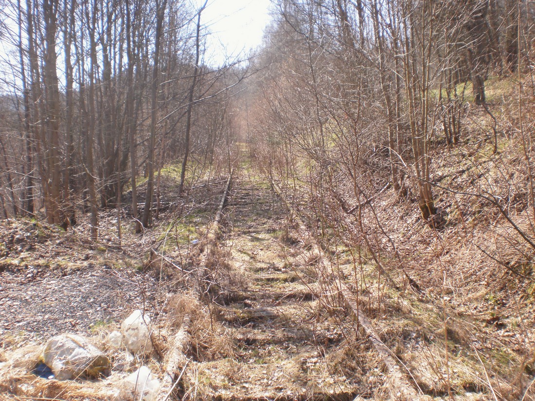 Trať 144_0437
