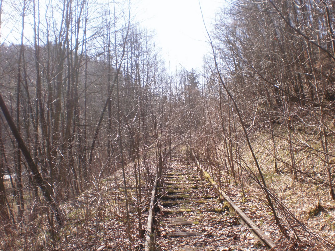 Trať 144_0452