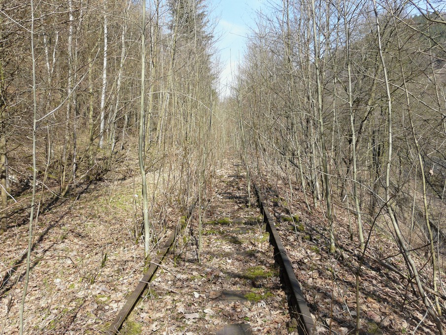 Trať 144_0453