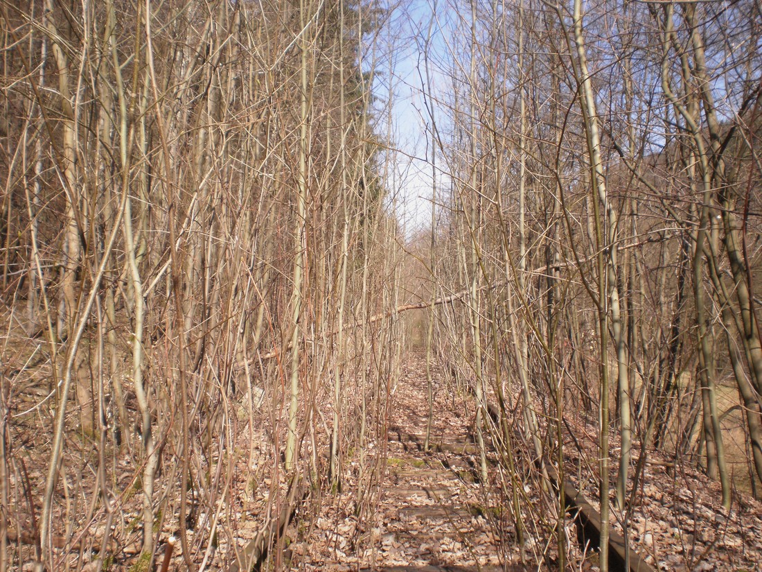 Trať 144_0454