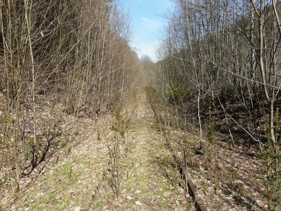 Trať 144_0458