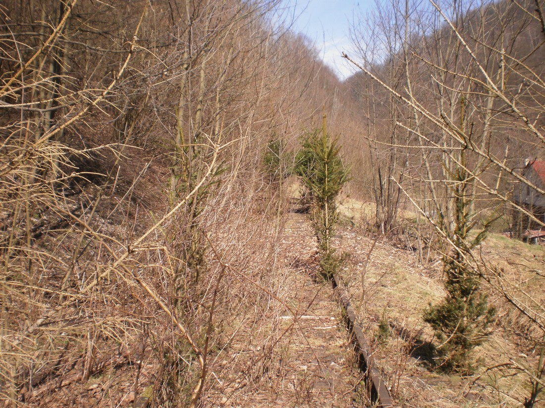 Trať 144_0459