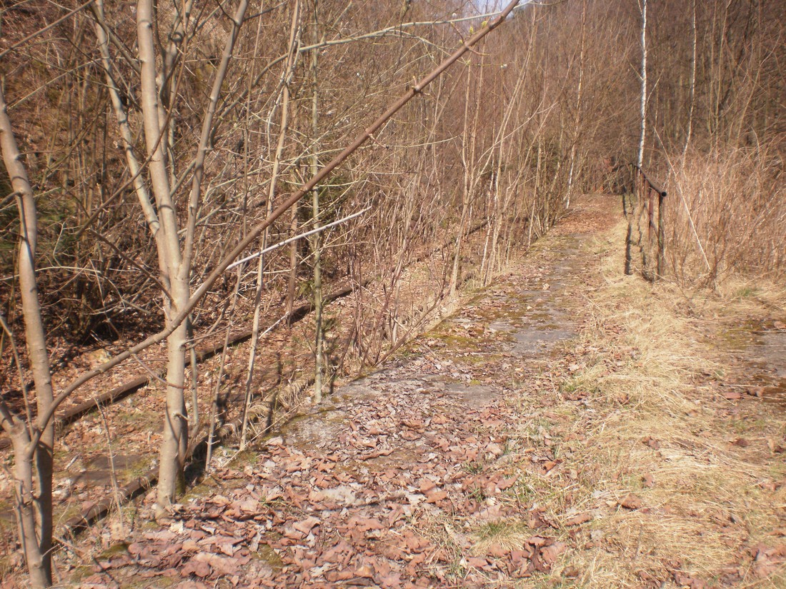 Trať 144_0469