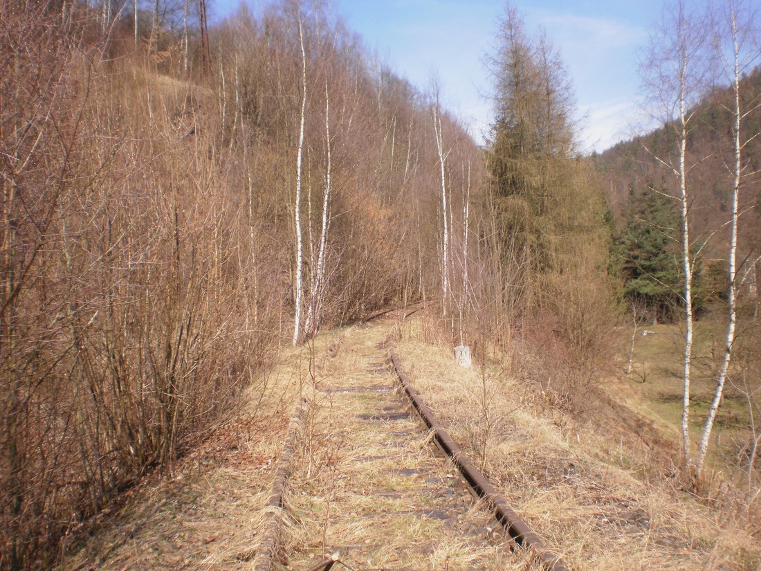 Trať 144_0489