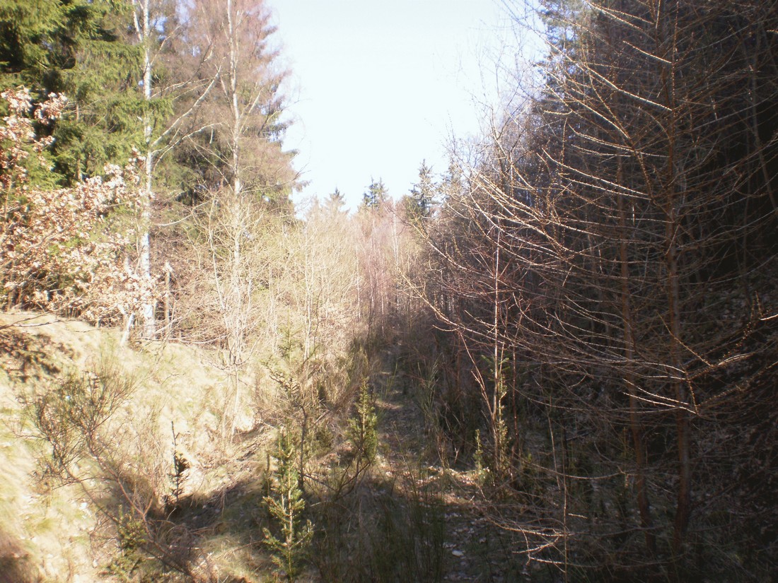 Trať 144_0074