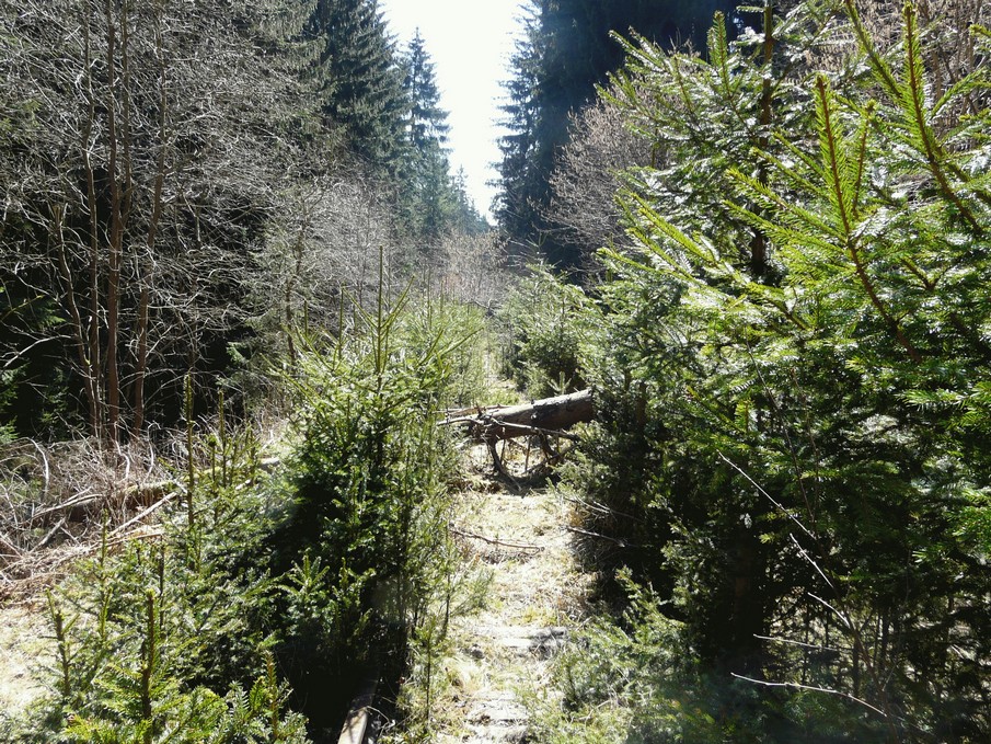 Trať 144_0010